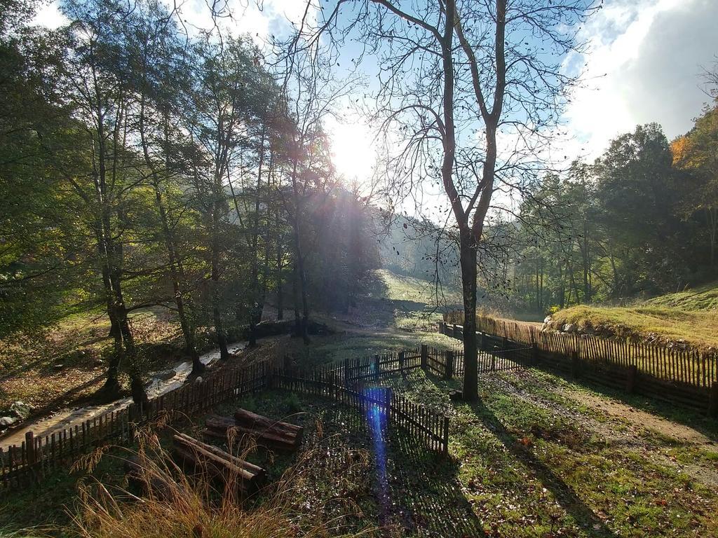 Pensjonat Masia El Moli De Can Aulet Arbúcies Zewnętrze zdjęcie